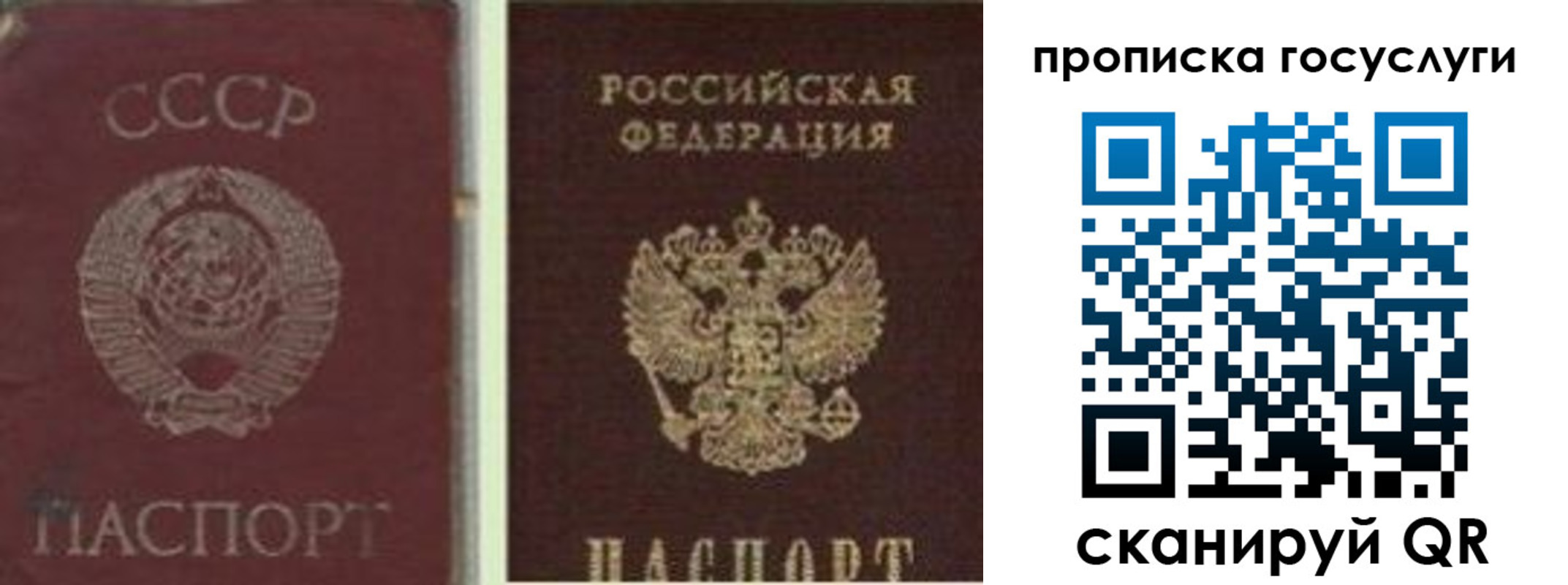 временная регистрация 2025 в Михайловке